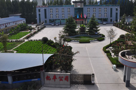 中国五大联赛网